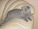 Ustala Alla