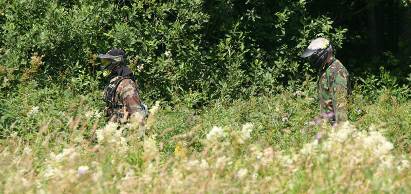 ���������� #649901