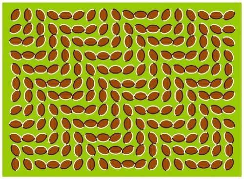 ���������� #652869