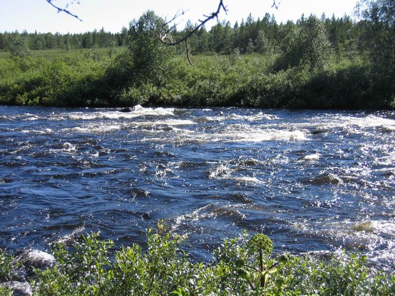 ���������� #670501