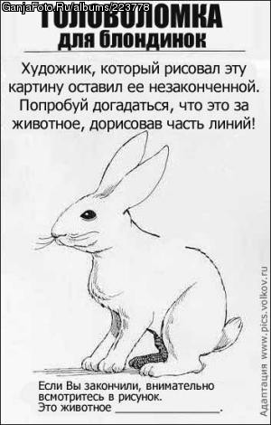 ���������� #78032