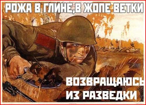 ���������� #702012