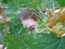 i see you =)
