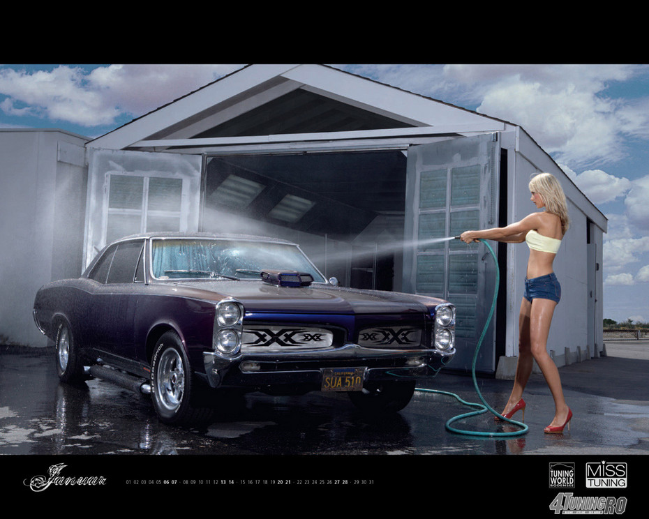 ���������� #730993