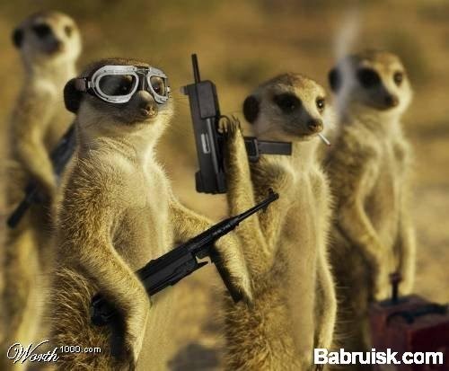 ���� ������� �� ����� ����� 8)