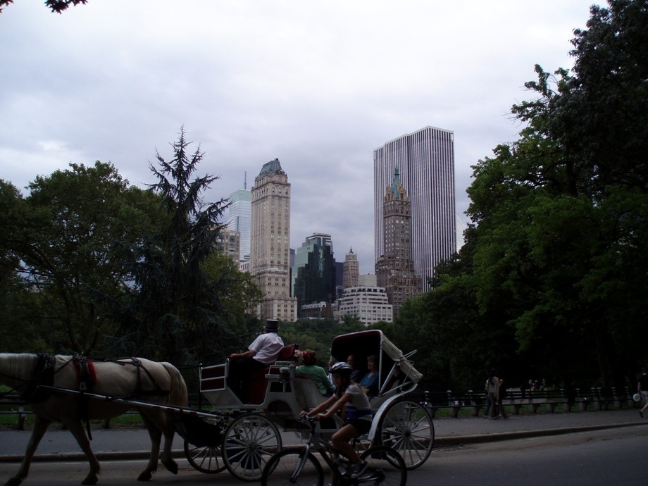 Central Park