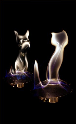 ���������� #868002
