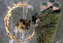 Пропускаем шахидов!