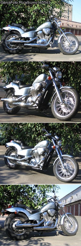 ��� ����� 2006