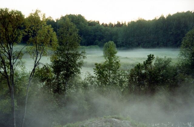 Mother Nature
