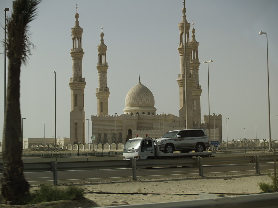 ���������� #912901