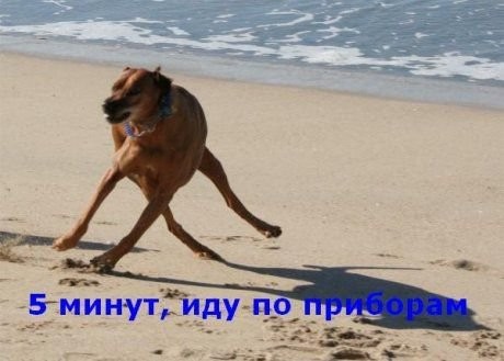 ���������� #934183