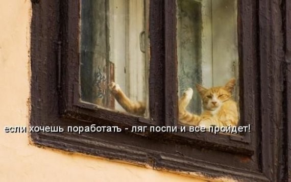 ���������� #935197
