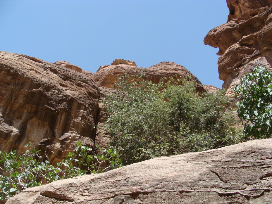 Jordan. ��� 2008. �����.