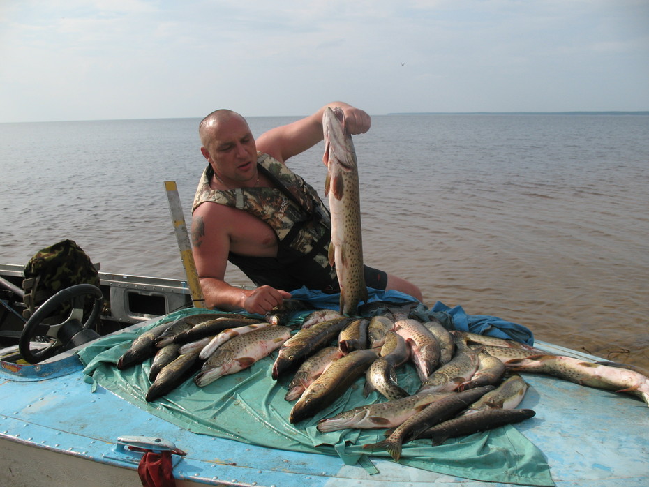 14 ���� 2008 �.