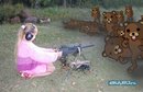 �������� ����� ���������-)
