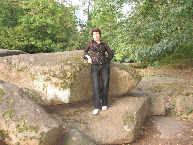 ������ 2008�
