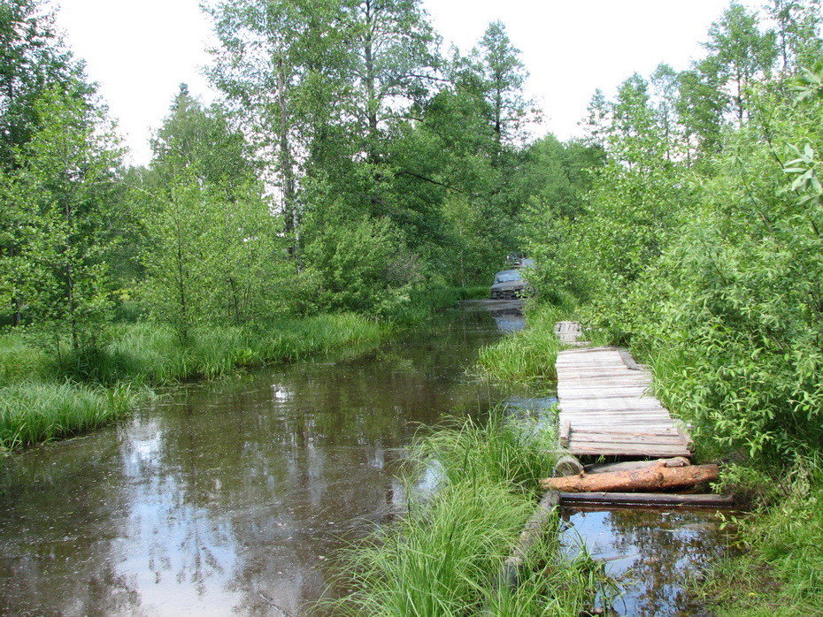 ���������� #1011191