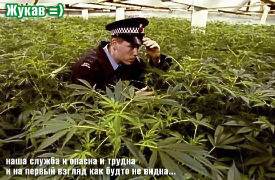 ���������� #1013363
