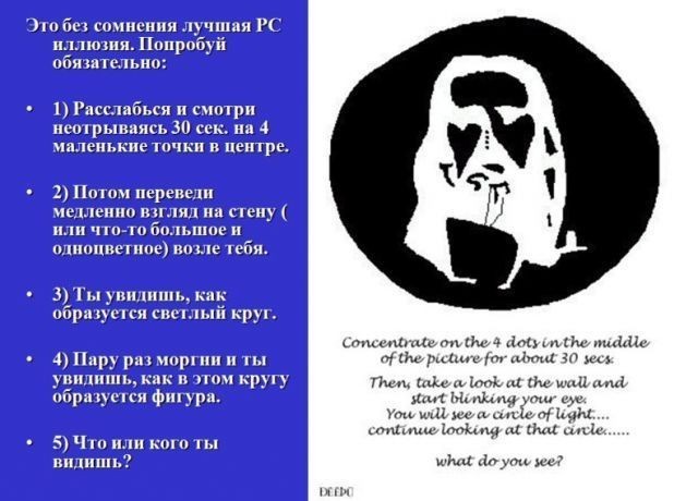 ���������� #1018700