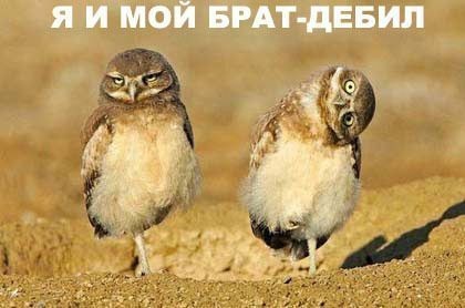 ���������� #1101006