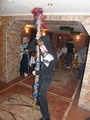 ���� �� 2009
