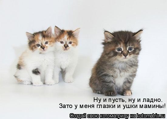 ���������� #1114294