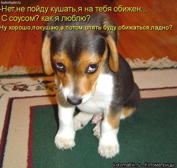 ���������� #1114313