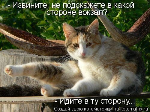 ���������� #1114314