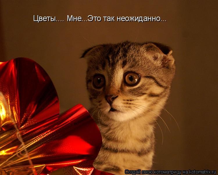 ���������� #1114315