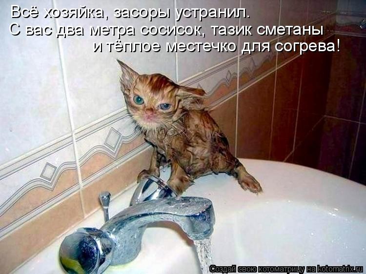 ���������� #1114316