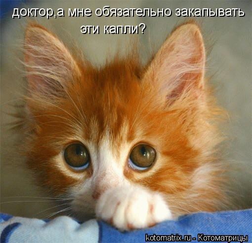 ���������� #1114409