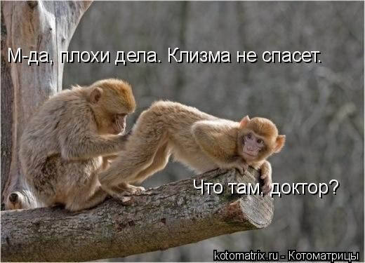 ���������� #1114412