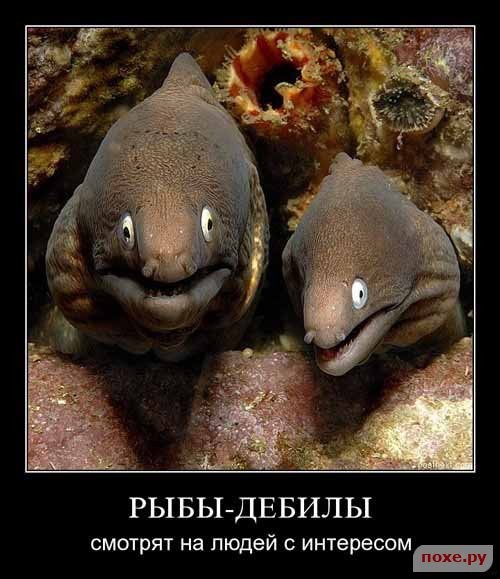 ���� � ����