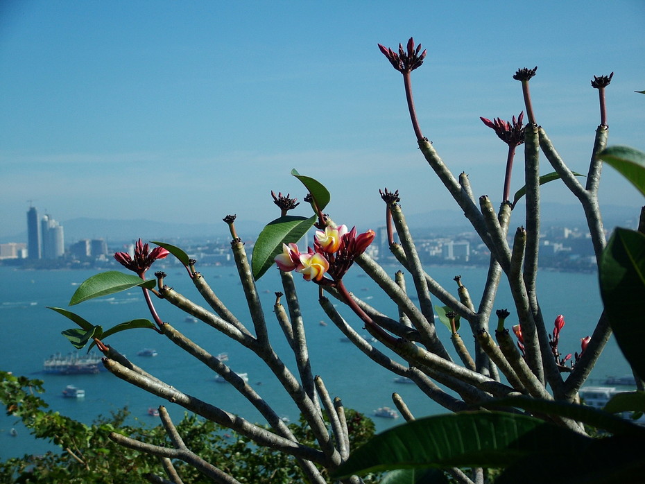 viewpoint