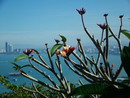 viewpoint