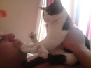 My Cat
