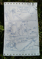 paper