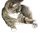 play with me =)