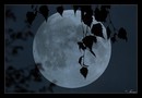 �� ���� �������� �� ����, ��� ����� ���������� �������, ����� �����, �������� ����������, � ��������� ��������� ������...