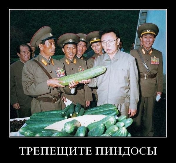 ���������� #1288047