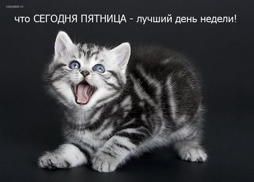 ���������� #1294949