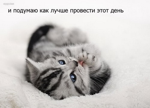 ���������� #1294951