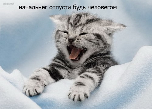 ���������� #1294966