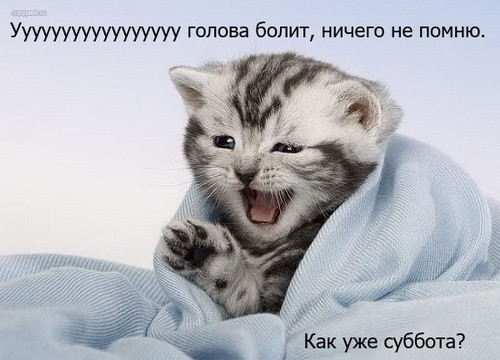 ���������� #1294969
