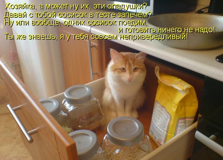 ���������� #1299172