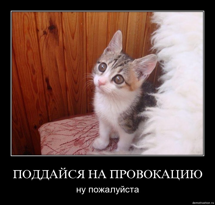 ���������� #1299226