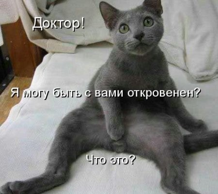 ���������� #1035832