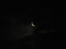 moonlight =)