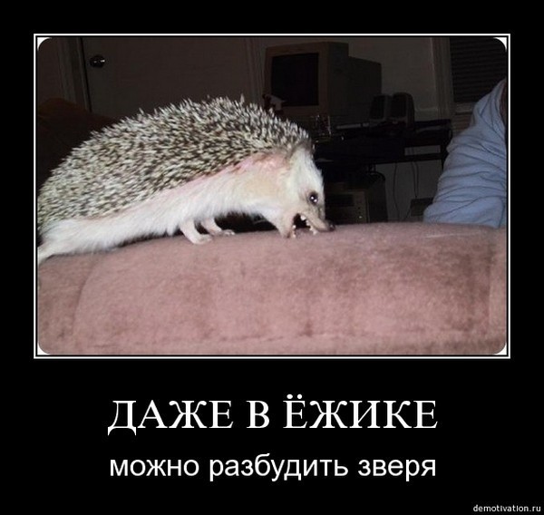 �����! :)